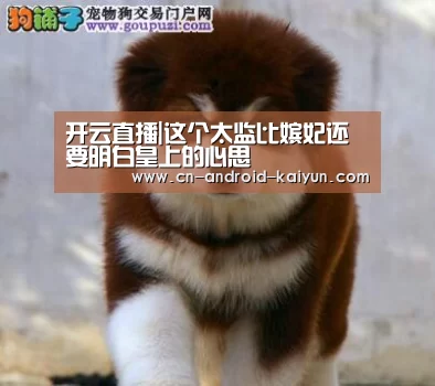 开云直播|这个太监比嫔妃还要明白皇上的心思(图1) 开云官网