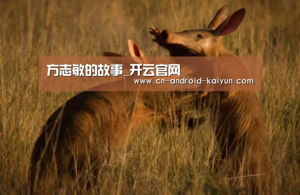 方志敏的故事_开云官网(图4) 开云直播